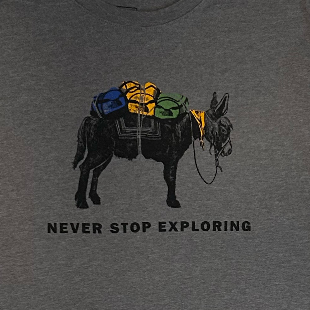 The North Face Gray Graphic Tee with Graphic